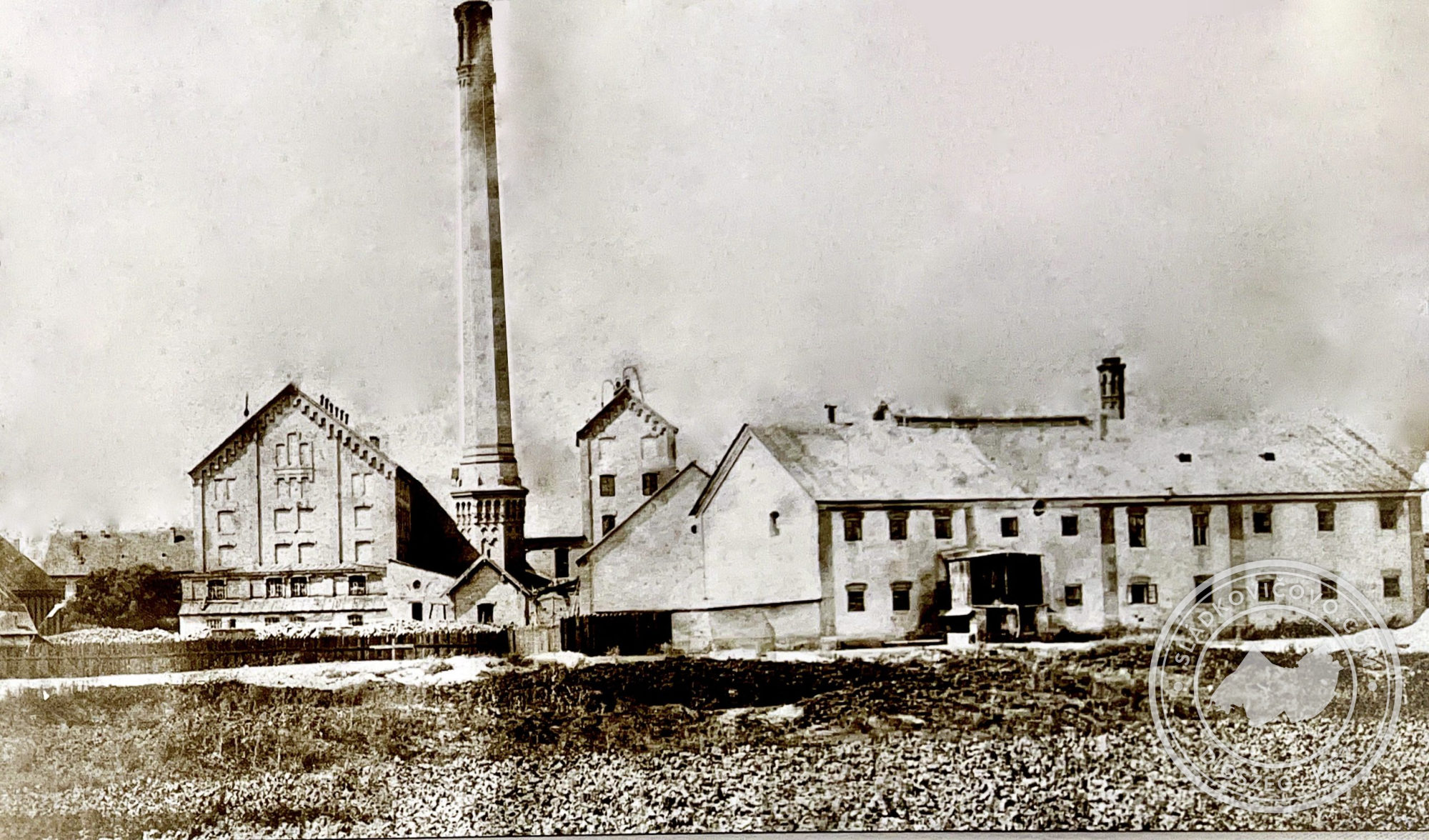 Fénykép 1882-ből.